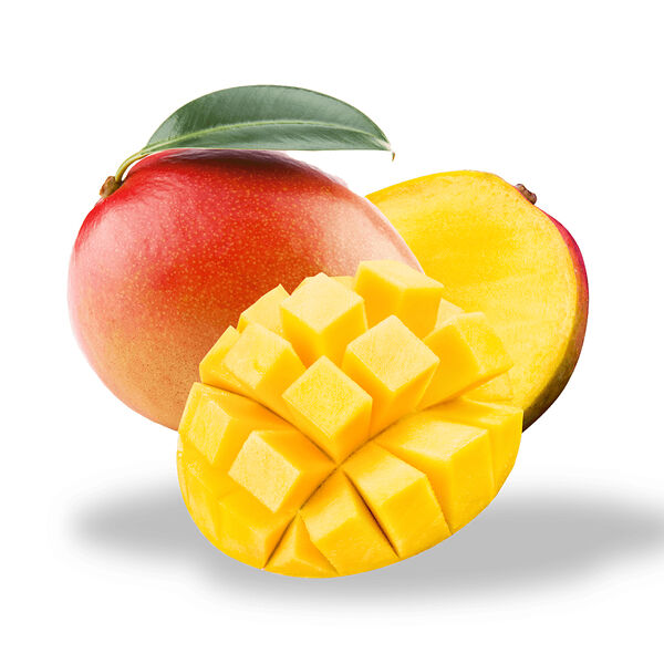 Mango Egypt