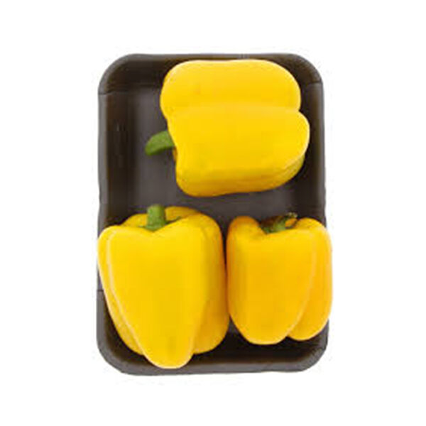 Capsicum Yellow Big Tray