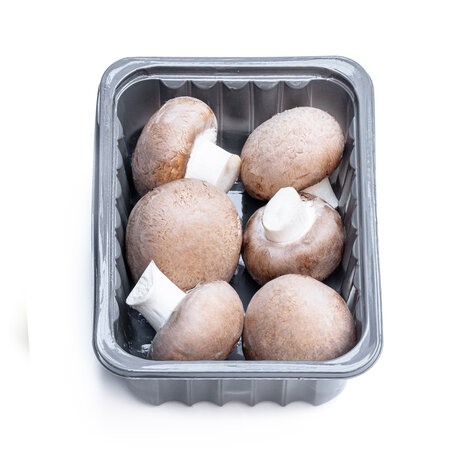 Mushroom Chestnut Pack