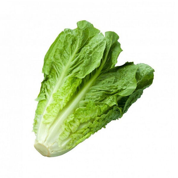 Esra Lettuce Local (Bunch)