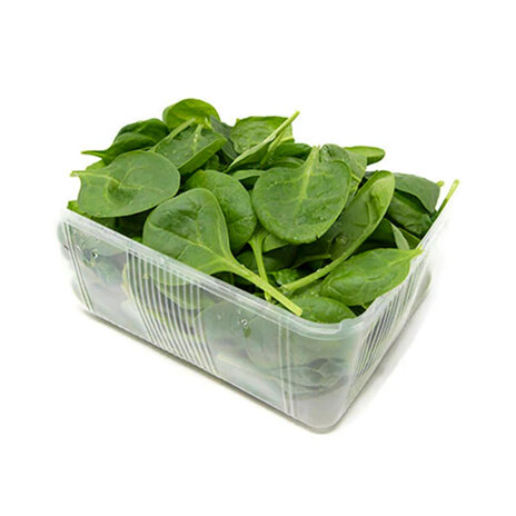 Holland Baby Spinach (Pack)