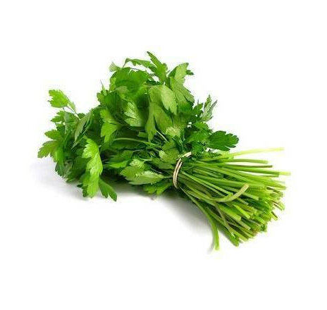 Fresh Coriander 30g