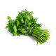 Fresh Coriander 30g