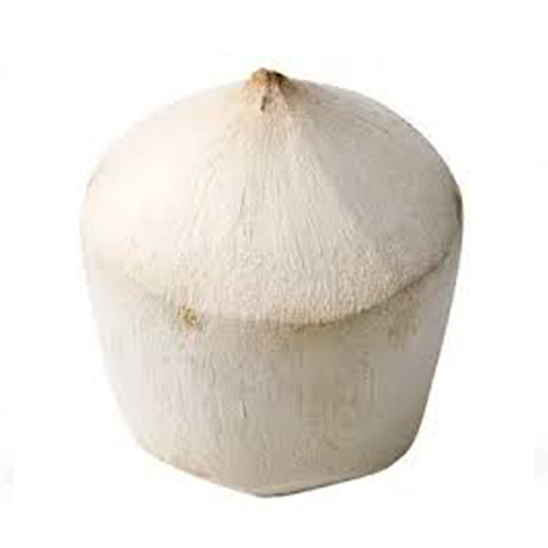 Coconut Fresh (Pc)