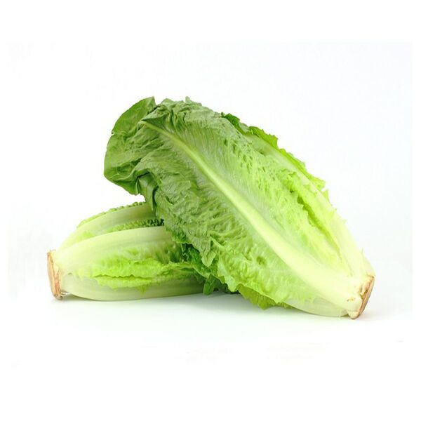 Lettuce Romaine
