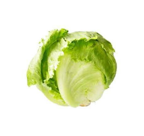 Iceberg Lettuce Head