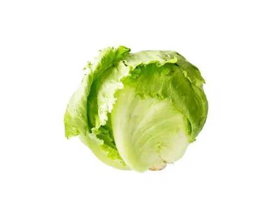 Iceberg Lettuce Head