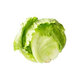 Iceberg Lettuce Head