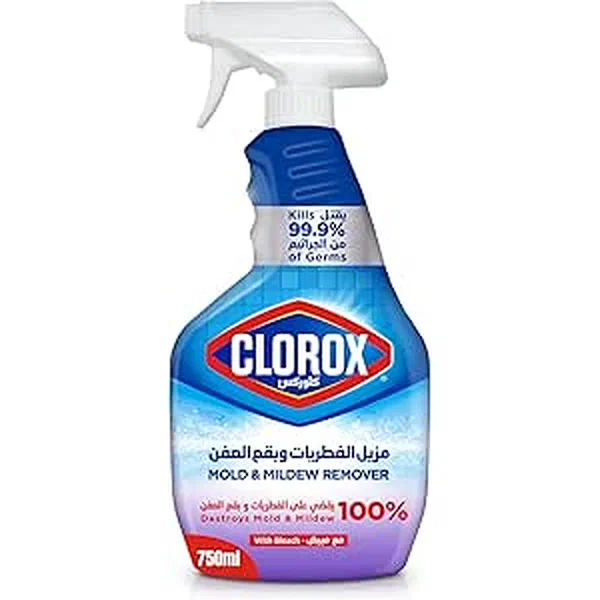 CLOROX MILDEW AND MOLD REMOVER HIGH-INTENSITY CLEANING SPRAY 750ML