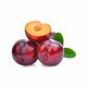 Plum Red
