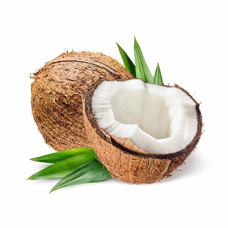 Coconut (Pc)