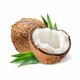 Coconut (Pc)