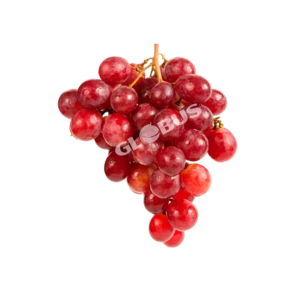 Кызыл жүзүм 