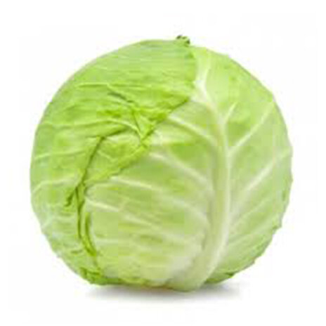 Cabbage Green