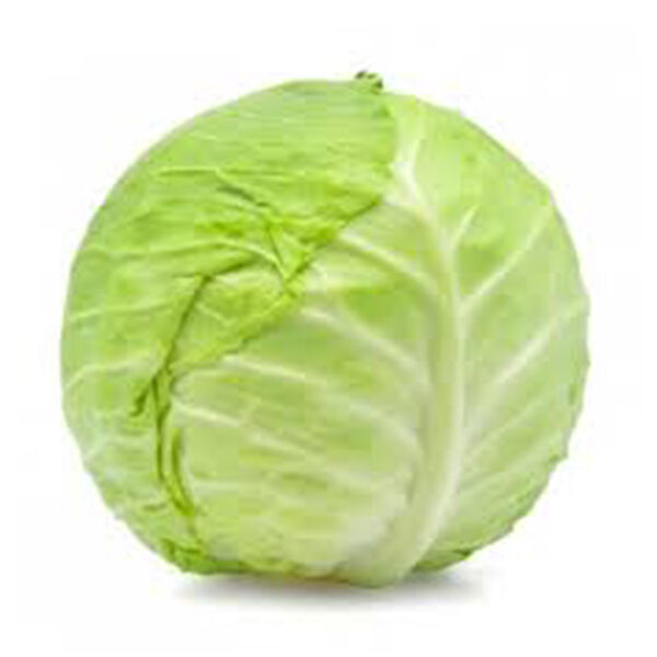 Cabbage Green