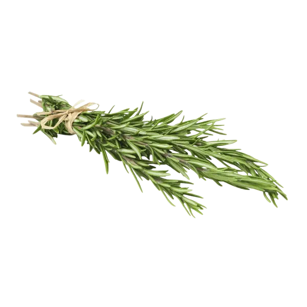 Розмарин шт