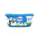 Igloo Ice Cream Vanilla 2 Tpce