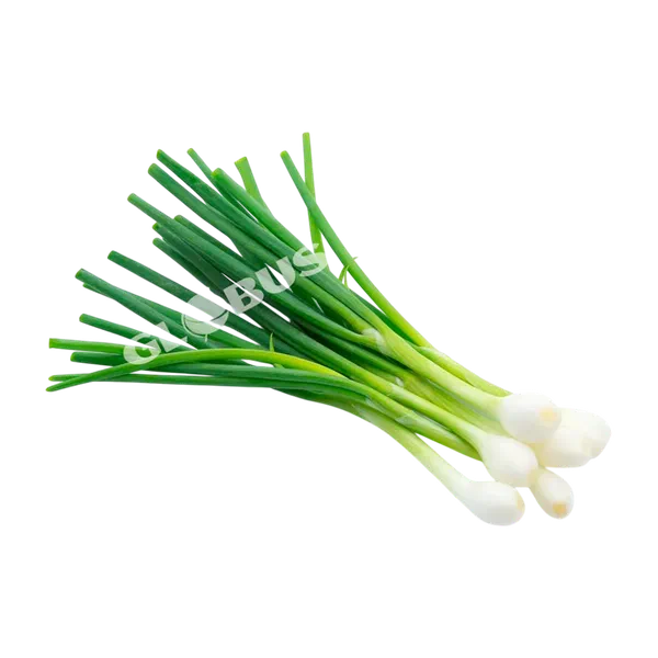 Лук зеленый шт