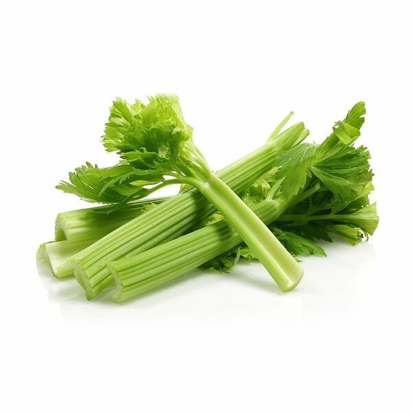 Celery
