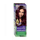 Koleston Natural Hair Color 3/66 Violet