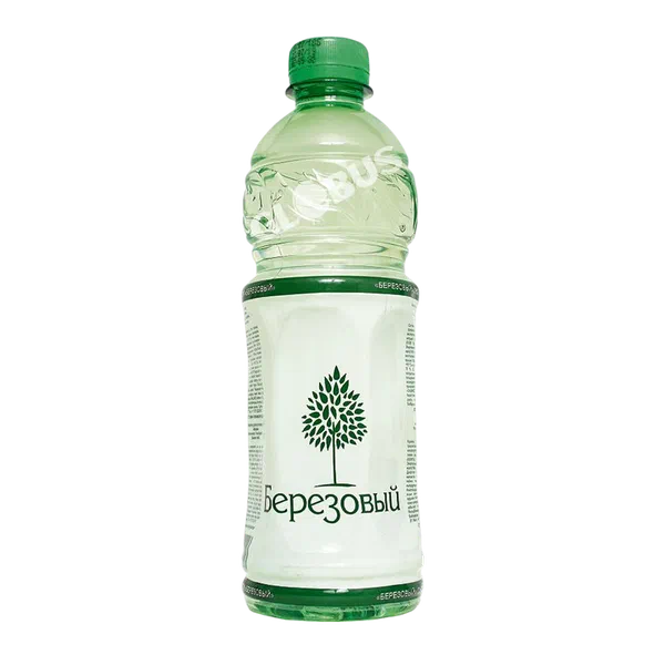 Garden Кайың ширеси суусундугу 0,45л