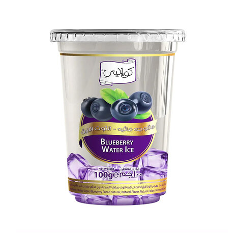 Kwality Blueberry Water Ice Cubs 100Gm