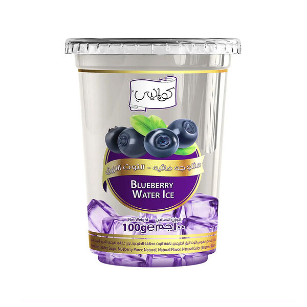Kwality Blueberry Water Ice Cubs 100Gm