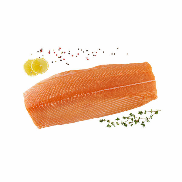 Salmon Fish Fillet Fresh Norway