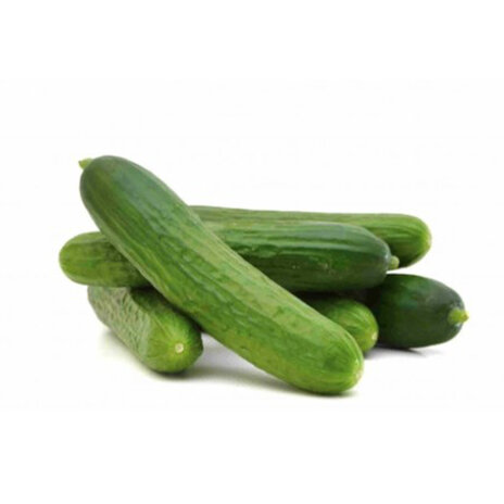 Alqassim Cucumber (Box)