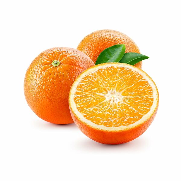 Orange Valencia Egypt