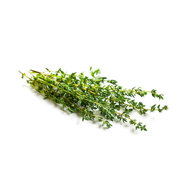 Holland Thyme (Pack)