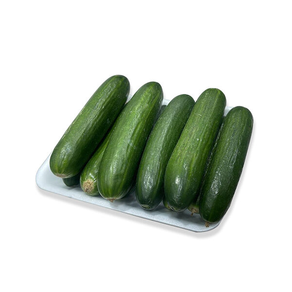 Cucumber Big Tray