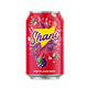 Shani Fruit Flavored Drink Can 360Ml
