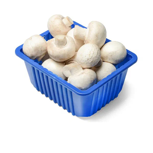WHITE MUSHROOM PACK FOR FRESH COOKING USE