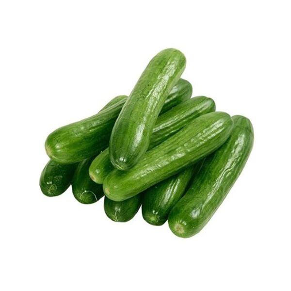 Hadyanah Cucumber (Pack)