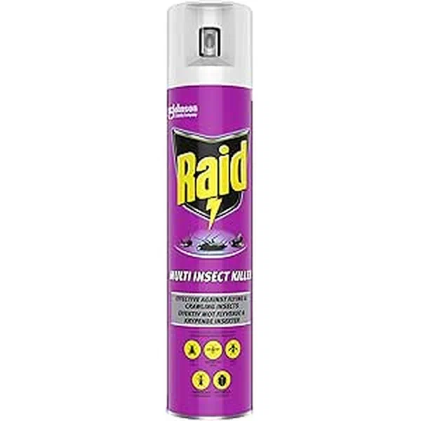 RAID ALL-PURPOSE HIGH-PERFORMANCE FAST-ACTING INSECT KILLER 300ML