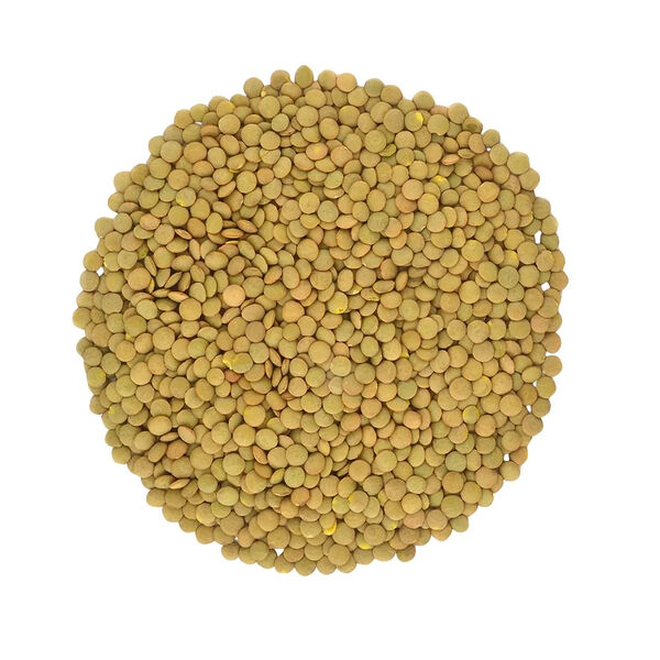 Green Lentil (Kg)