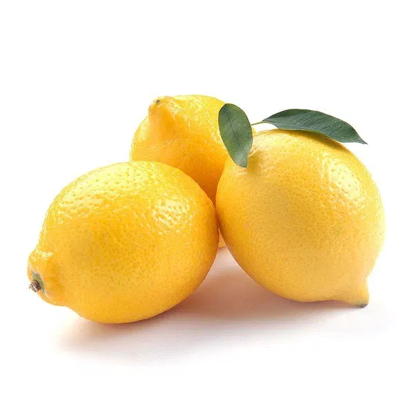 LARGE SIZE JUICY LEMONS FOR MAXIMUM FLAVOR