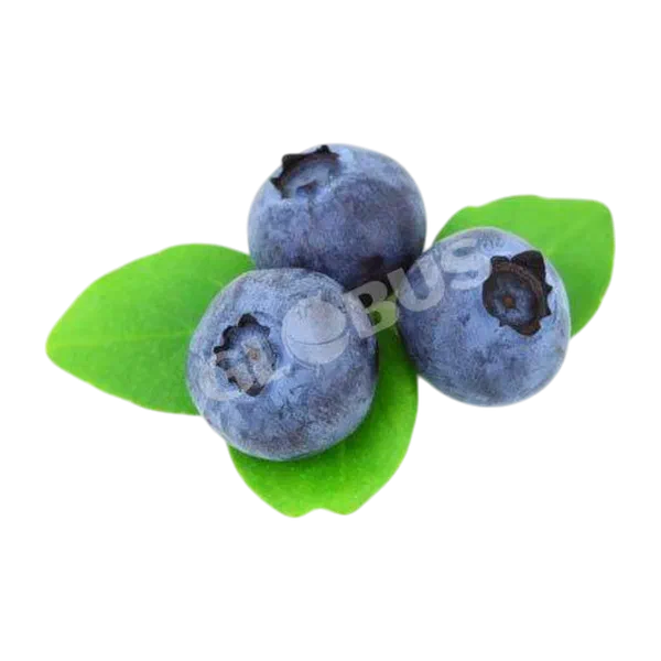 Голубика вес