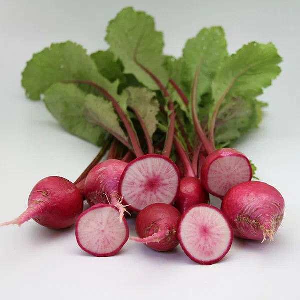 FRESH RED TURNIP LEAVES FOR DAILY USE