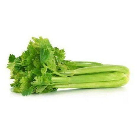 Celery Bunch