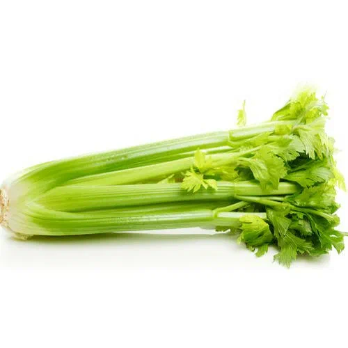 Celery Bunch