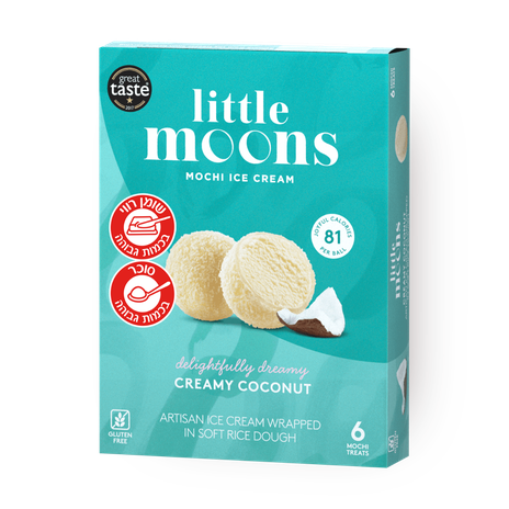 Mochi ice cream coconut