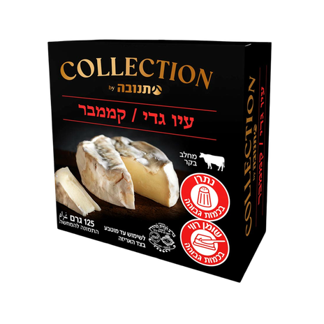 Tnuva Camembert cheese 24%