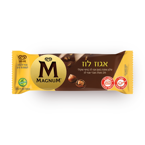 Magnum hazelnut  ice cream bar