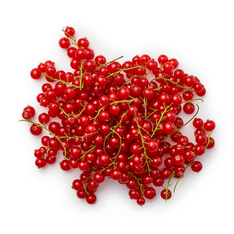 Смородина Klubnika King