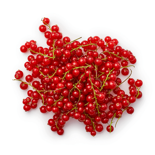 Смородина Импорт