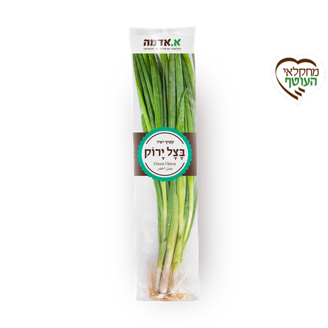 בצל ירוק - ארוז