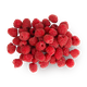 Малина King Fruits