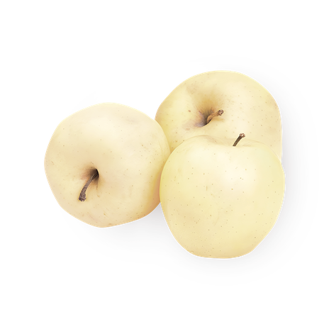 Яблоко белое